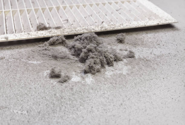 Best Local Air Duct Cleaning Services  in Marlow Heights, MD